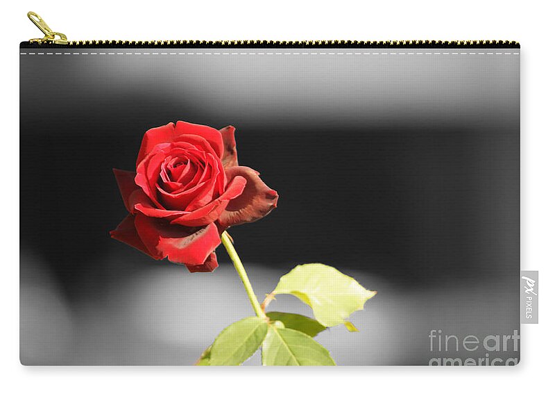 Rose Zip Pouch featuring the photograph Hiroshima Rose by Cassandra Buckley
