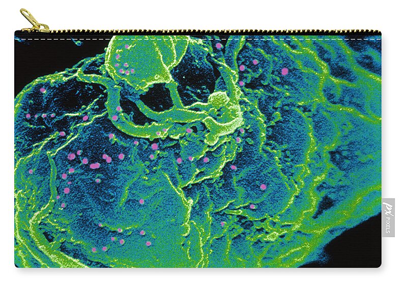 Aids Virus Infecting T-lymphocyte Zip Pouch featuring the photograph Hiv Infected T-cell by Scott Camazine