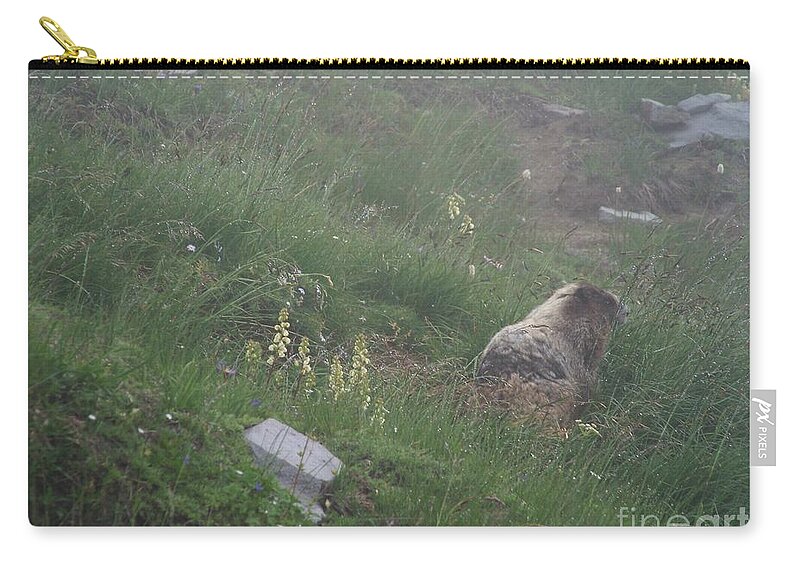 Marmot Zip Pouch featuring the photograph Hoary Marmot by Charles Robinson