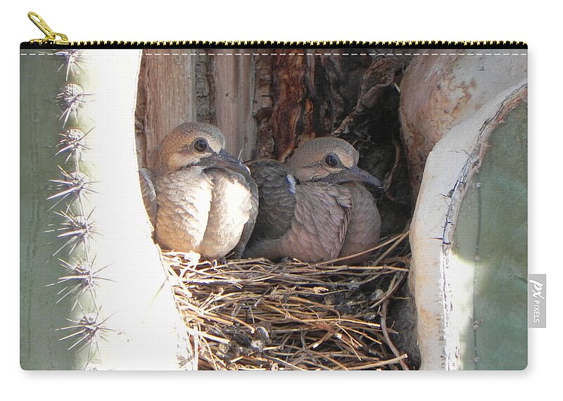 Doves Zip Pouch featuring the photograph Home All Alone by Deb Halloran