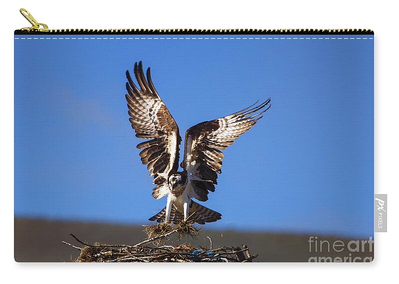 Osprey Zip Pouch featuring the photograph Homebuilder by Michael Dawson