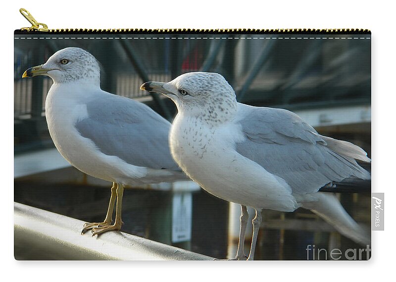 Seagulls Photographs Zip Pouch featuring the photograph Honey Are You Listening To Me? by Emmy Vickers
