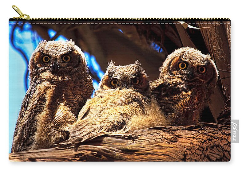 Owl Zip Pouch featuring the photograph Hoo Are You by Beth Sargent