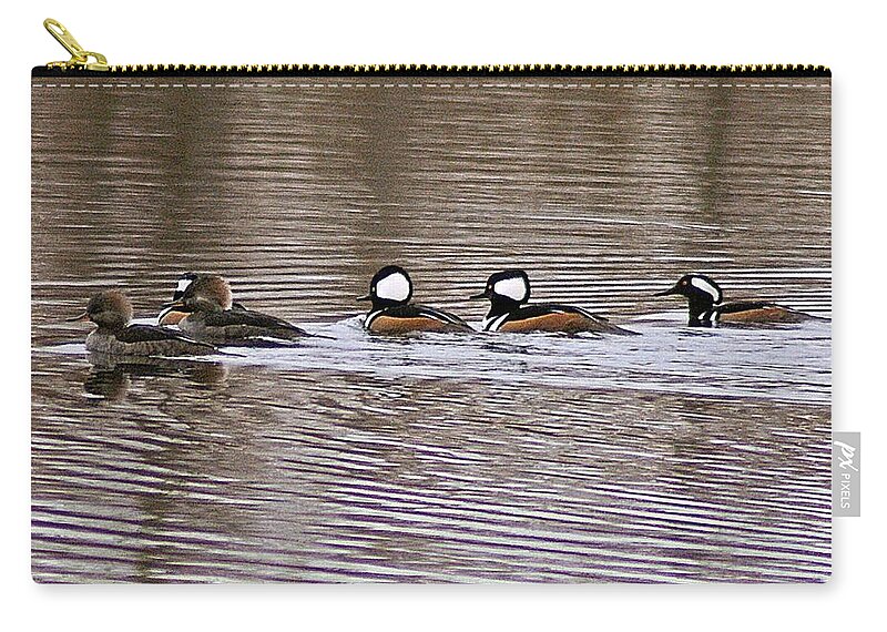 Hooded Zip Pouch featuring the photograph Hooded Mergansers IV by Joe Faherty