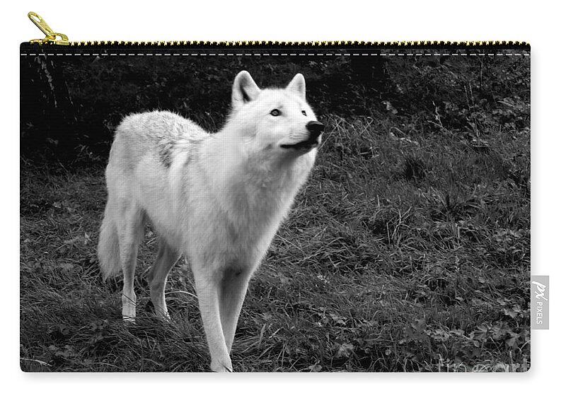 Arctic Zip Pouch featuring the photograph Hopeful by Vicki Spindler