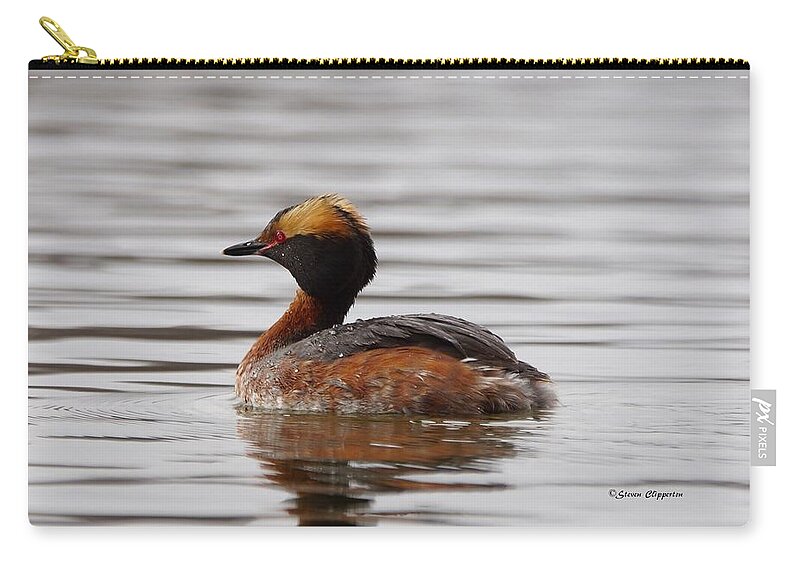 Grebe Zip Pouch featuring the photograph Horned Grebe 3 by Steven Clipperton