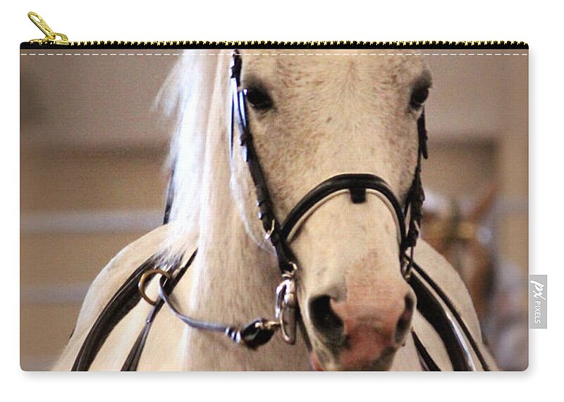 Horse Zip Pouch featuring the photograph Horse Before the Cart by Lynn Sprowl