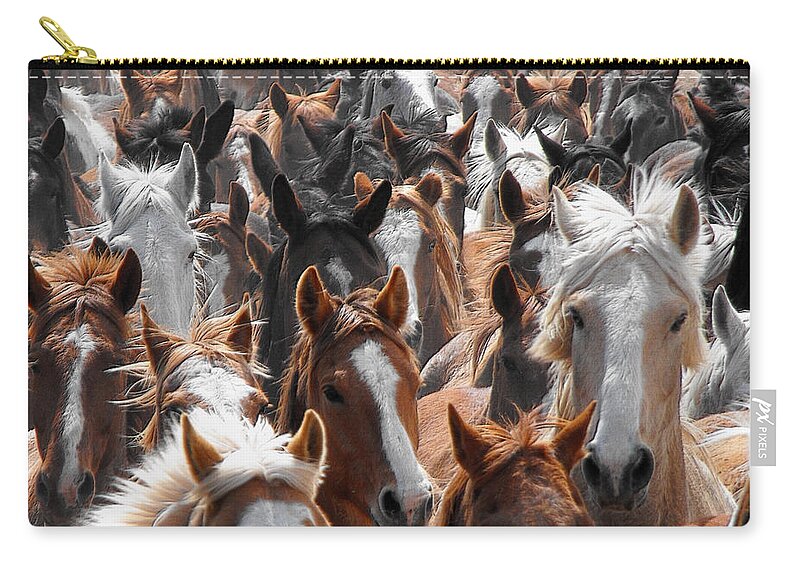Horse Carry-all Pouch featuring the photograph Horse Faces by Kae Cheatham