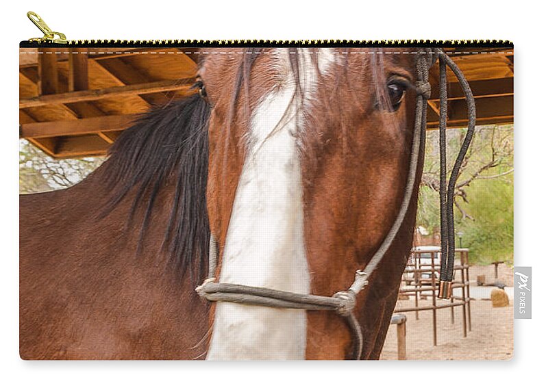 Horse Zip Pouch featuring the photograph Horse by Larry White