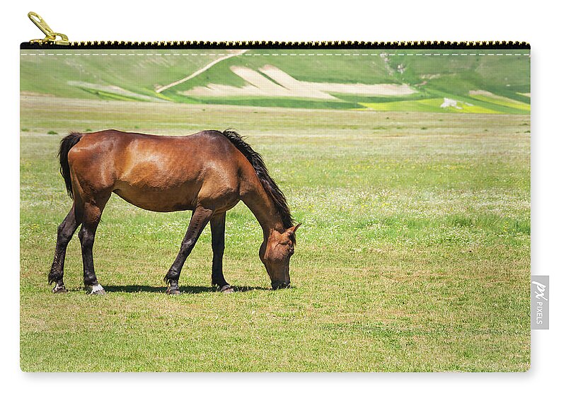 Horse Zip Pouch featuring the photograph Horse Pasture by Orestegaspari