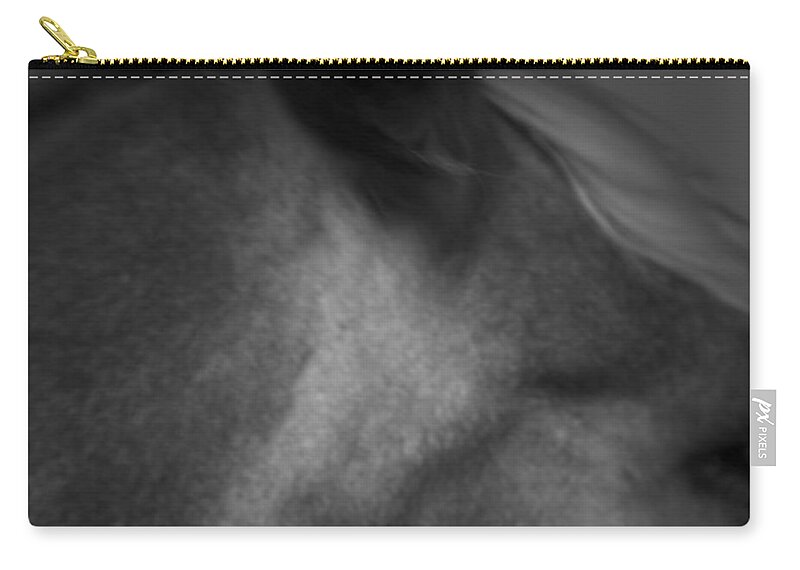 Horse Zip Pouch featuring the photograph Horse Play by Mark Ross