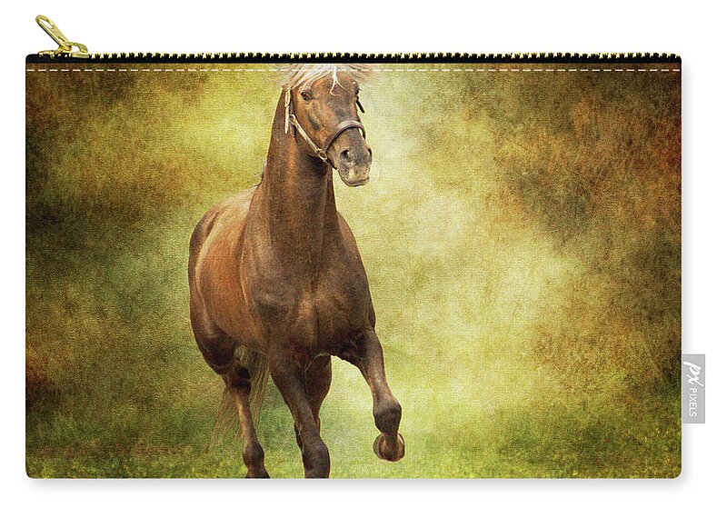 Horse Zip Pouch featuring the photograph Horse Running Free In Meadow by Christiana Stawski