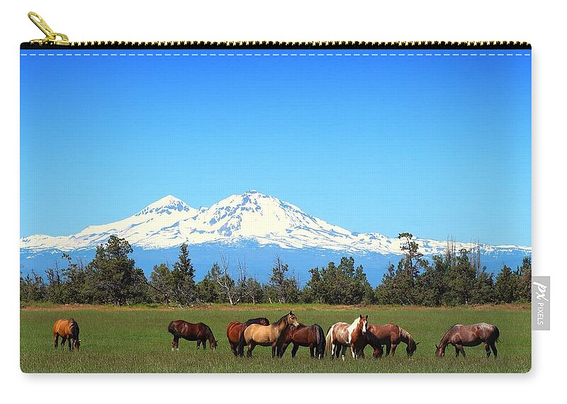 Sisters Mountain Zip Pouch featuring the photograph Horses at Sisters Mountain by Lynn Hopwood