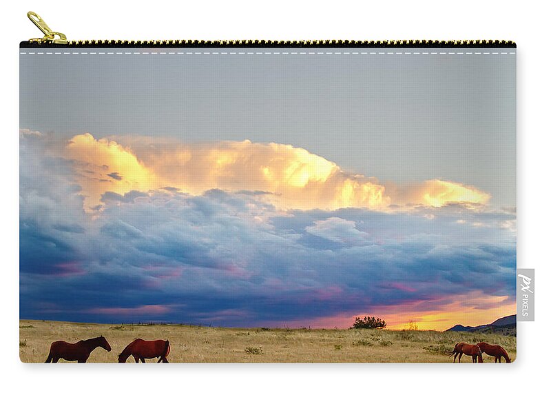 Horses Zip Pouch featuring the photograph Horses On The Storm by James BO Insogna