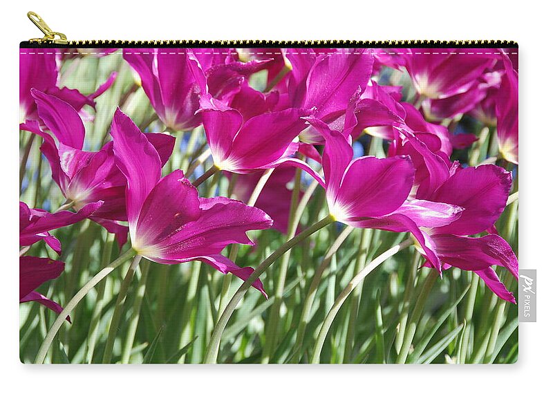 Hot Pink Tulips Zip Pouch featuring the photograph Hot Pink Tulips 2 by Allen Beatty