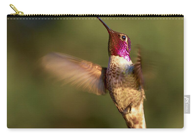 Humming Bird Zip Pouch featuring the photograph Hovering Hummer by Jean Noren