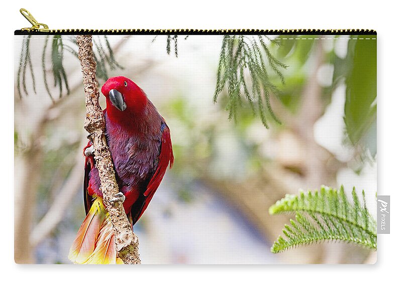 #purebeauty Zip Pouch featuring the photograph How is this pose by Edward Kreis