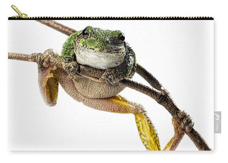 Frog Zip Pouch featuring the photograph How You Doin? by John Crothers