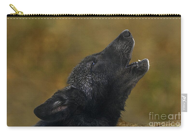 Gray Wolf Zip Pouch featuring the photograph Howling Gray Wolf Pup Endangered Species Wildlife Rescue by Dave Welling