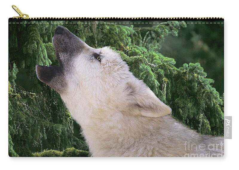 Arctic Wolf Zip Pouch featuring the photograph Howlling Arctic Wolf Pup Endangered Species Wildlife Rescue by Dave Welling