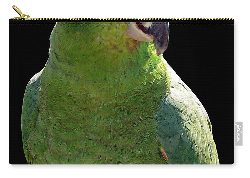 Parrot Zip Pouch featuring the photograph Huey the Mealy Amazon Parrot by Rose Santuci-Sofranko