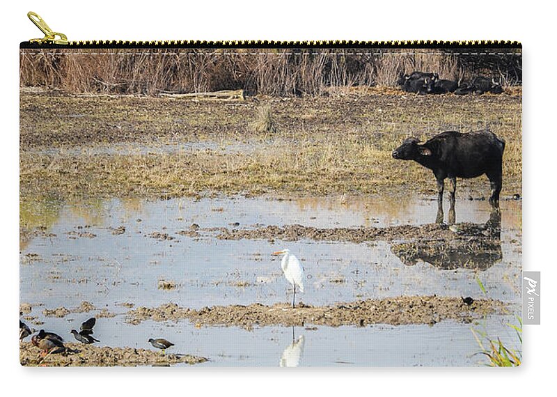 Animal Themes Zip Pouch featuring the photograph Hula Valley Animals At Winter , Israel by ©tomshaharphoto©