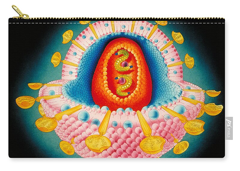 Hiv Zip Pouch featuring the photograph Human Immunodeficiency Virus by Jim Dowdalls