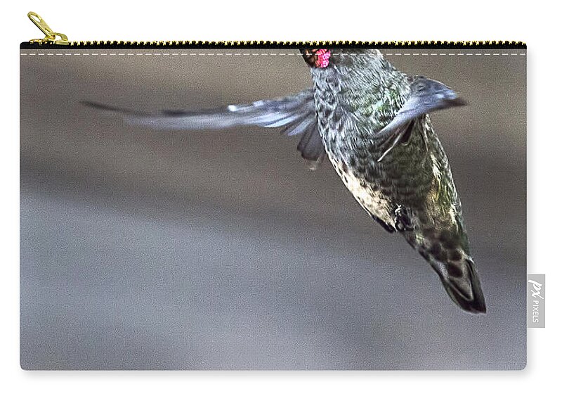 Endre Zip Pouch featuring the photograph Hummingbird 4 by Endre Balogh