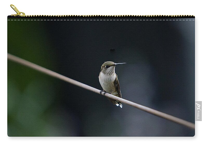 Bird Zip Pouch featuring the photograph Hummingbird on a Wire by Gary Wightman