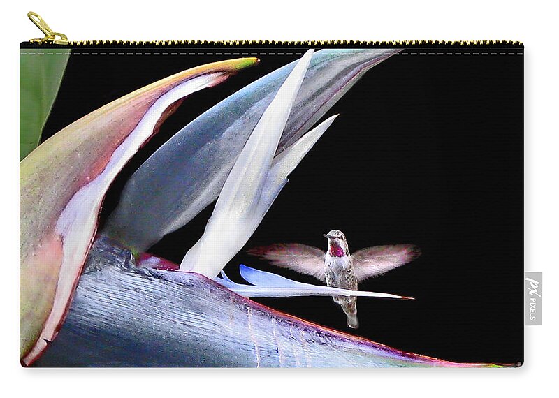 Hummingbird Zip Pouch featuring the photograph Hummingbird Paradise by Jennie Breeze