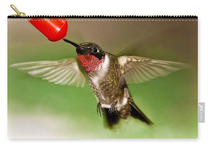 Hummingbird Zip Pouch featuring the photograph Hummingbird by Robert L Jackson