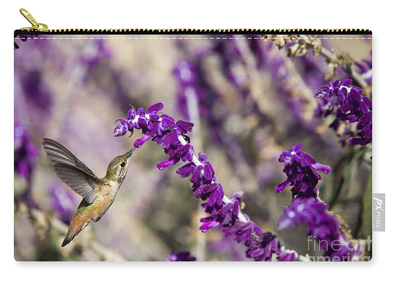 Salvia Zip Pouch featuring the photograph Hummingbird collecting nectar by David Millenheft