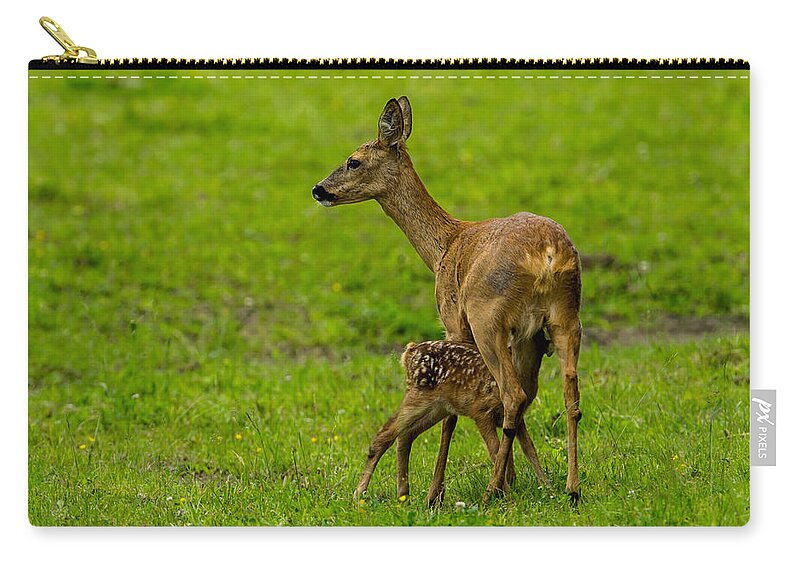 Hungry Roe Deer Fawn Carry-all Pouch featuring the photograph Hungry by Torbjorn Swenelius