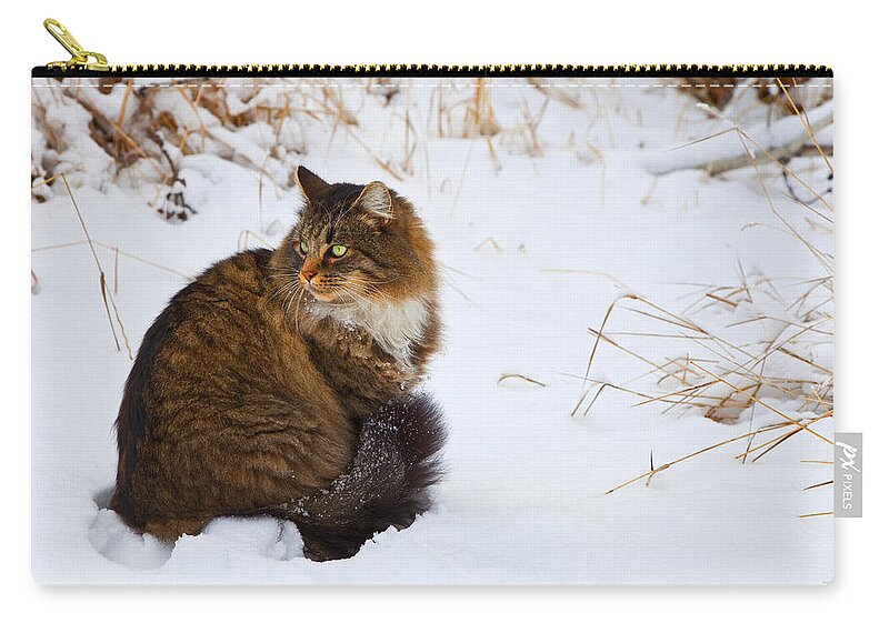 Cat Zip Pouch featuring the photograph Hunter by Theresa Tahara