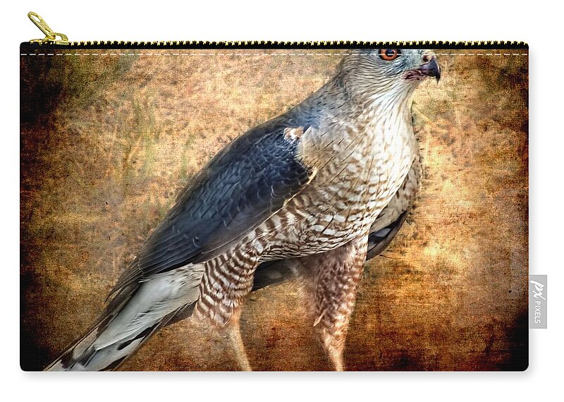 Zip Pouch featuring the photograph Hunting Hawk by Melissa Bittinger