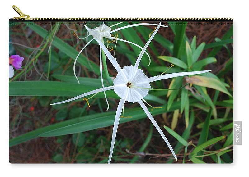 Hurricane Lilly Zip Pouch featuring the photograph Hurricane Lilly by Robert Floyd