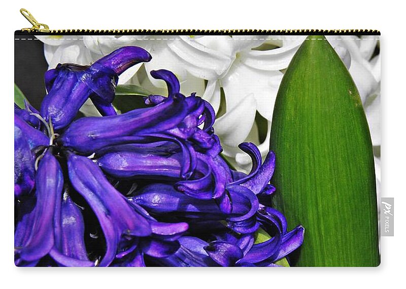 Hyacinth Zip Pouch featuring the photograph Hyacinths by Sarah Loft