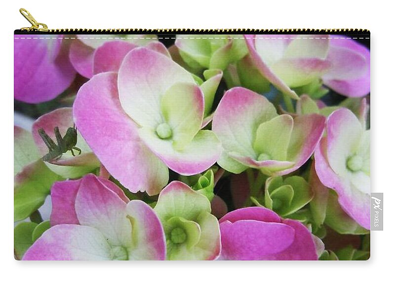 Hydrangea Zip Pouch featuring the photograph Hydrangea and Friend by Robert ONeil