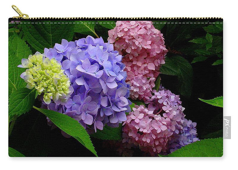 Fine Art Zip Pouch featuring the photograph Hydrangea Glow by Rodney Lee Williams
