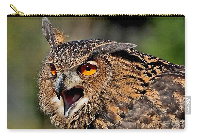 Birds Zip Pouch featuring the photograph Hypnotic by Kathy Baccari