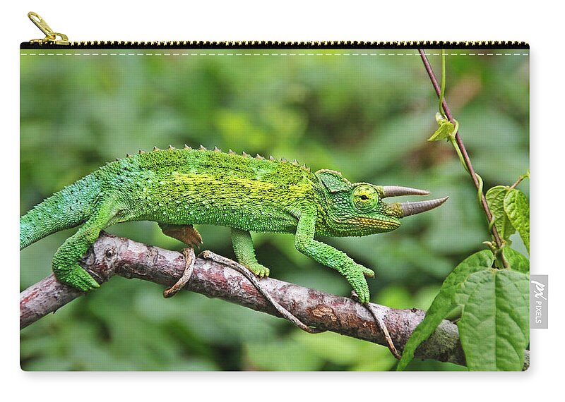 Green Animals Zip Pouch featuring the photograph I Am Not A Pickle by Peggy Collins