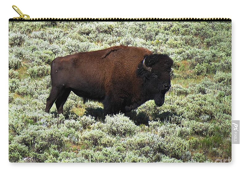 Yellowstone Bison Zip Pouch featuring the photograph I Am The King Of This Meadow by Ausra Huntington nee Paulauskaite
