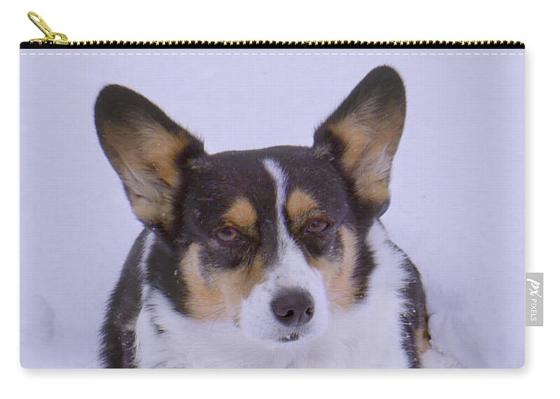Corgi Zip Pouch featuring the photograph I Do Not Like Snow by Mike McGlothlen