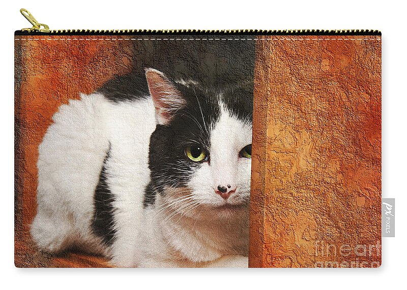 Cat Zip Pouch featuring the photograph I Have My Eye On You by Andee Design