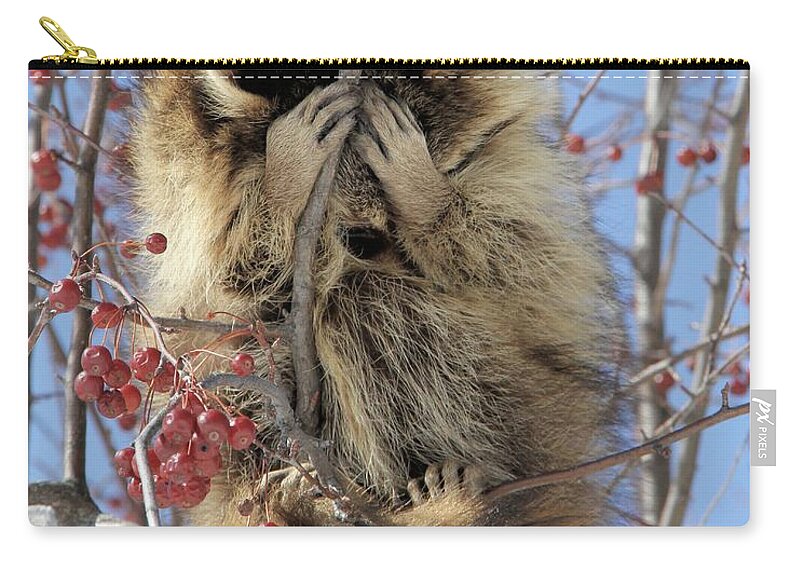 Raccoon Zip Pouch featuring the photograph I Just Want This Photo Shoot To Be Over by Doris Potter