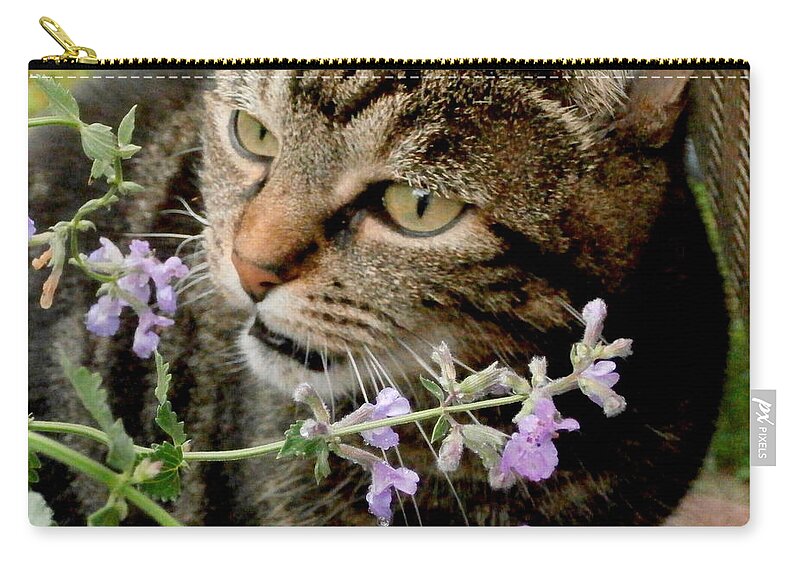 Herbs Zip Pouch featuring the photograph I Love Catnip My Mommy Grows For Me by Eunice Miller