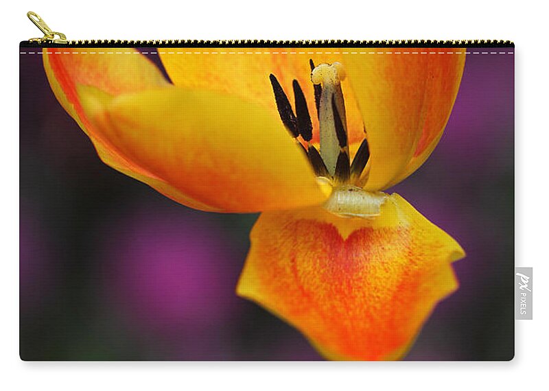 Tulip Zip Pouch featuring the photograph I still need Love by Juergen Roth