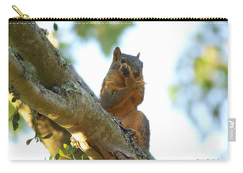 Squirrel Zip Pouch featuring the photograph I Was Kung Fu Fighting by Donna Blackhall