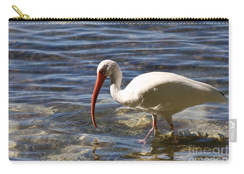 Ibis Zip Pouch featuring the photograph Ibis Lunchhour by Christiane Schulze Art And Photography