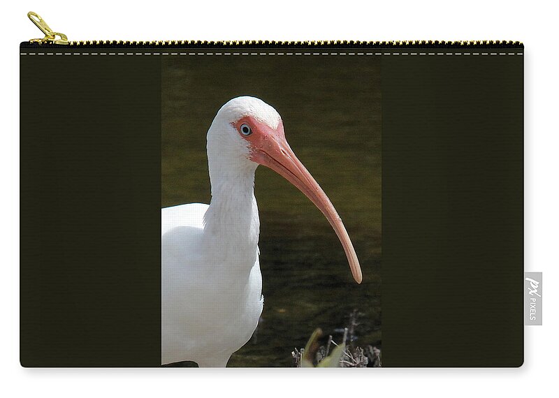 White Ibis Zip Pouch featuring the photograph Ibis portrait by Doris Potter